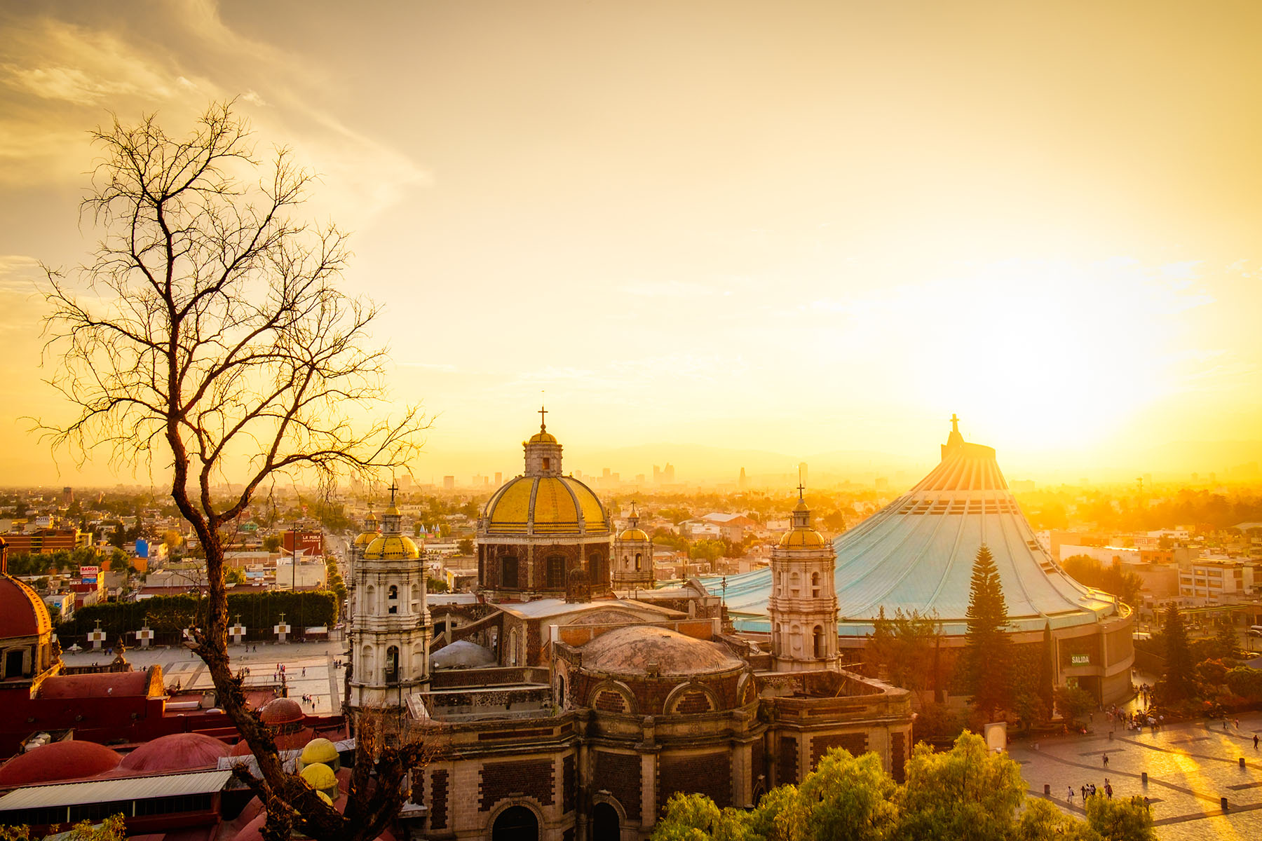 Things To Do In Guadalajara