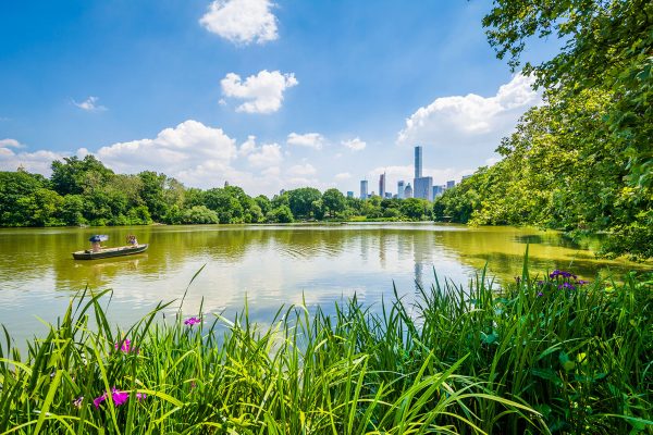 Seneca Village: The African-American Village Underneath Central Park