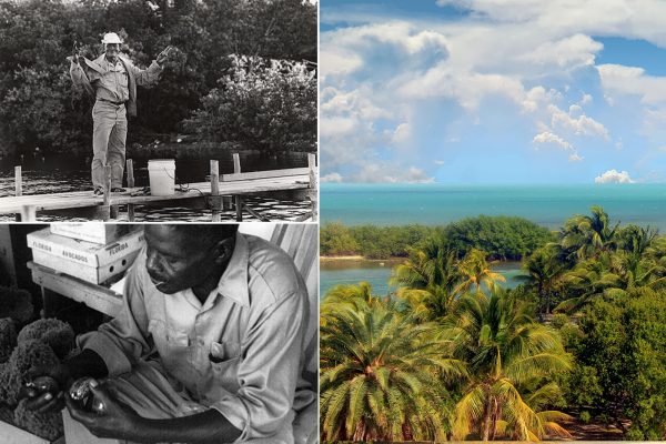 Lancelot Jones: The Black Man That Gave America Biscayne National Park