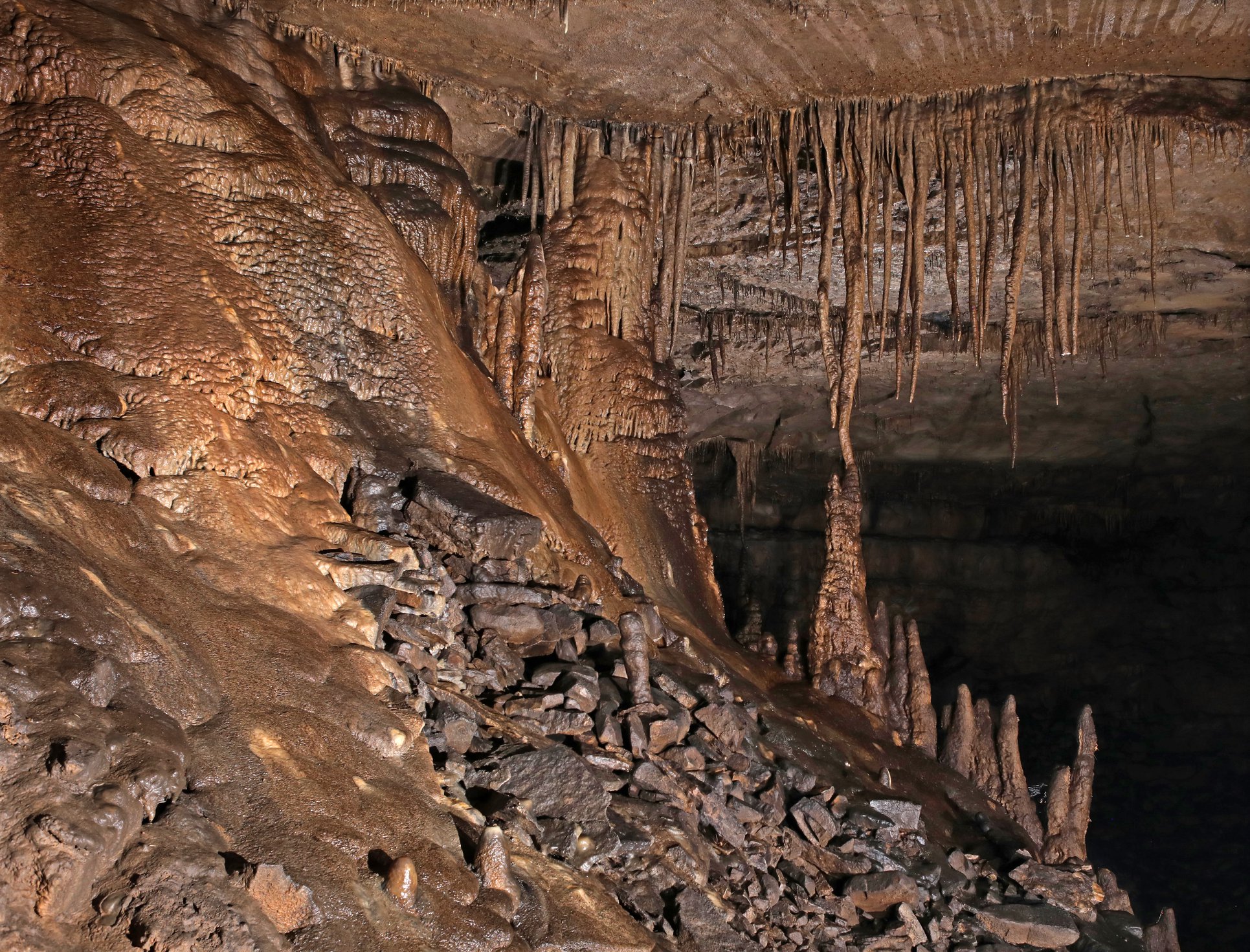 Trying the Dark: Mammoth Cave and the Racial Imagination, 1839